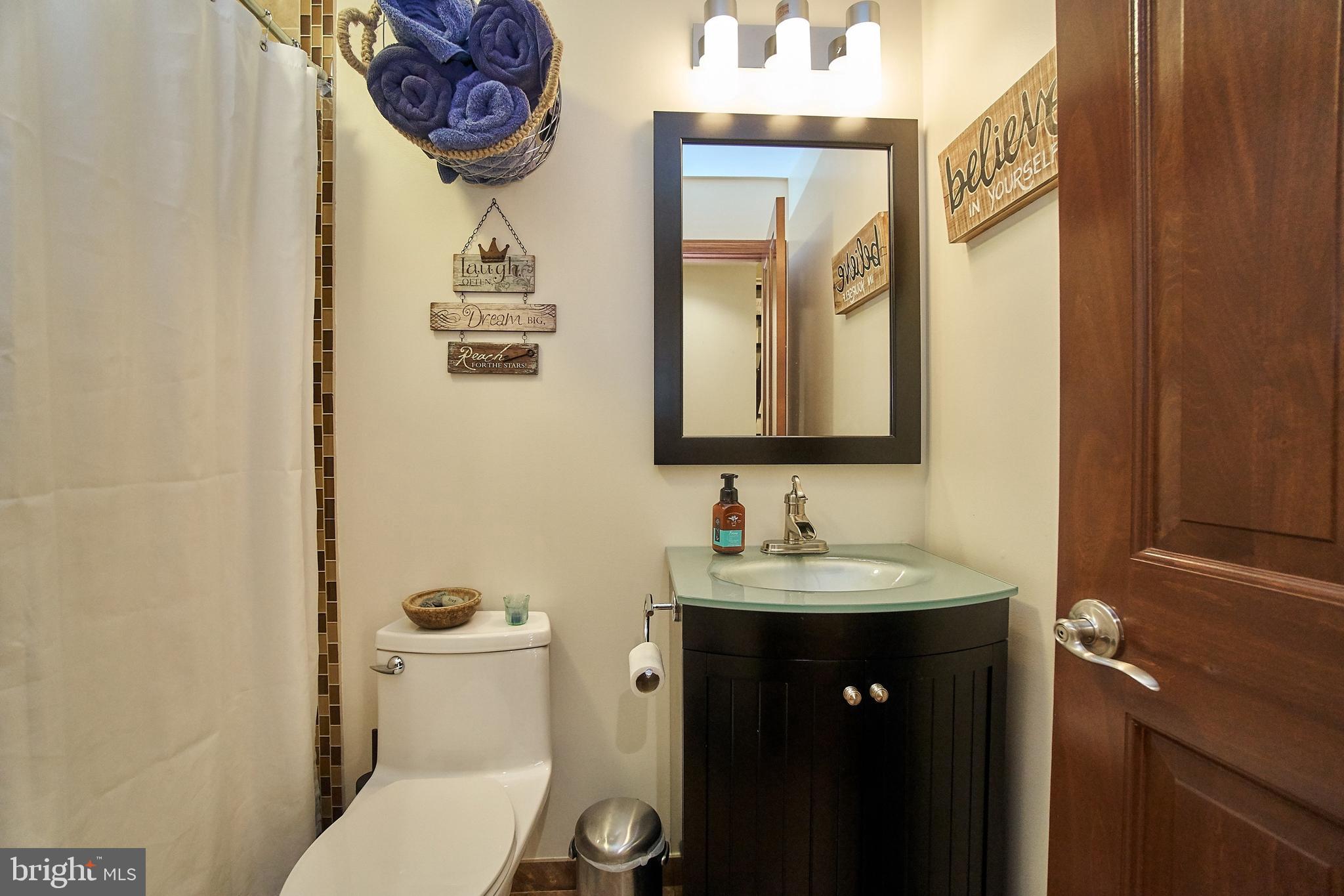 7300 Oriole Avenue Springfield, VA 22150 - Photo 19 of 31 main level en suite bath