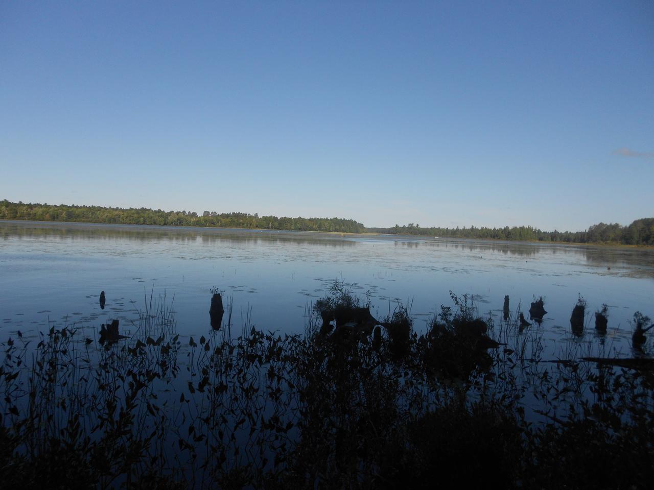 On Eagles Bluff Road, Unit LOT 11 Rhinelander, WI 54501 - Photo 1 of 13 Gallery Image 1