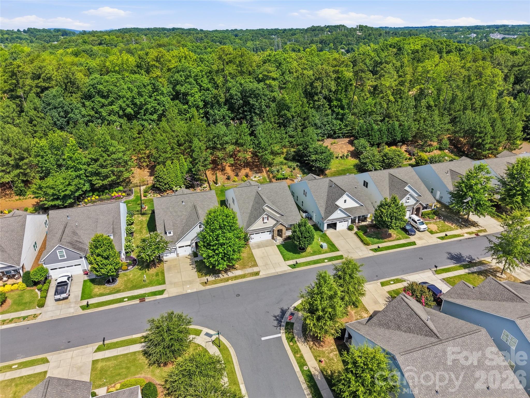 1874 Larkspur Way Tega Cay, SC 29708 - Photo 9 of 46