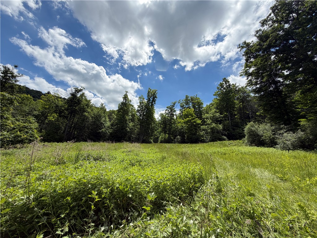 Vl Catatunk Road, Unit R Canisteo, NY 14823 - Photo 4 of 50