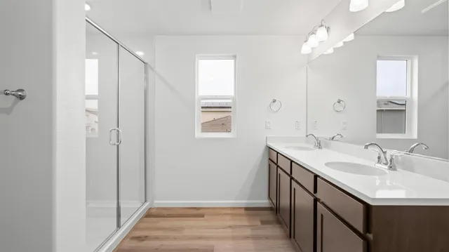 a bathroom with a sink a mirror and a shower