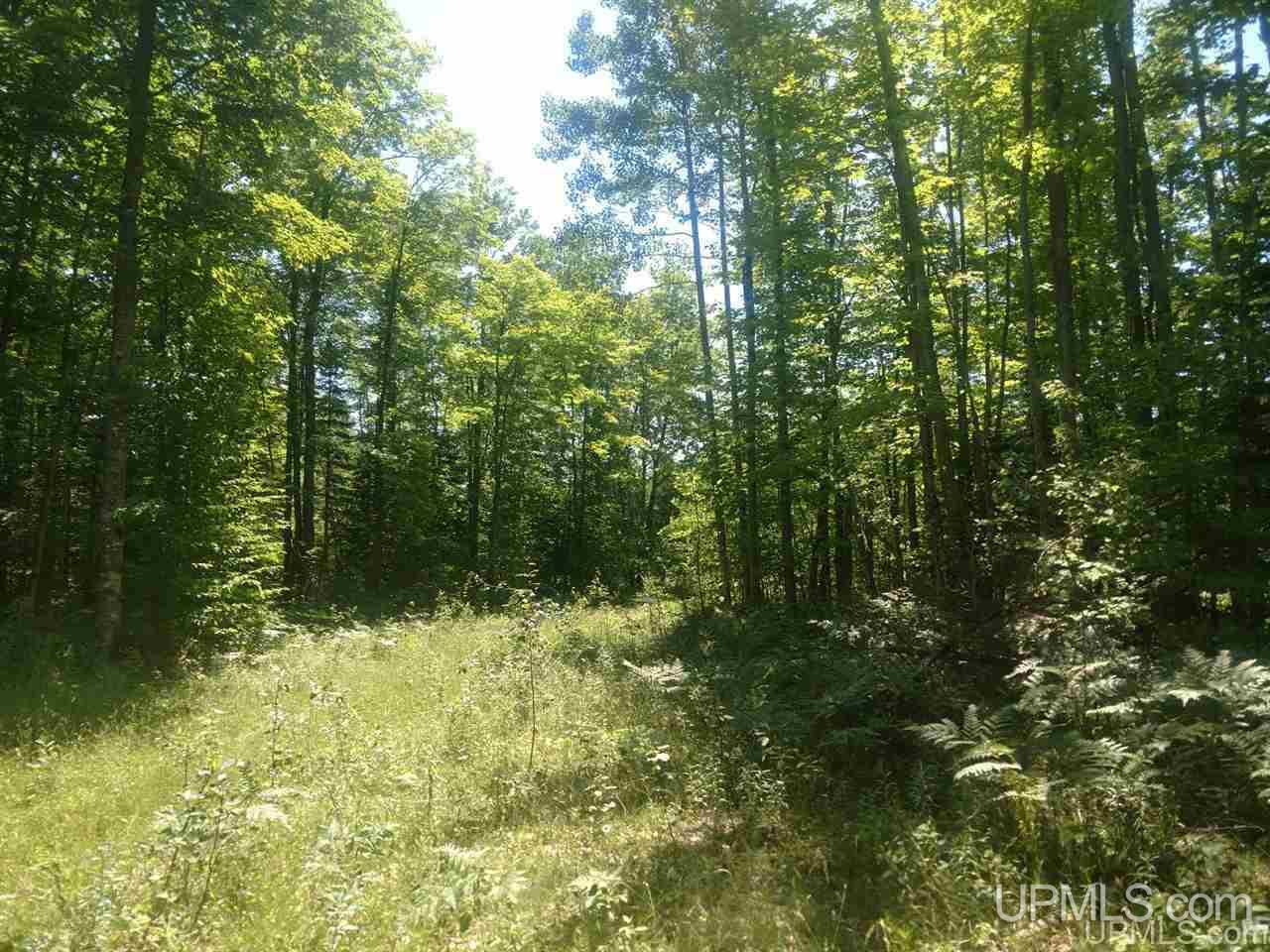 Tbd Karschney Road South Lanse, MI 49946 - Photo 8 of 11