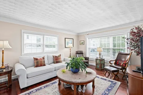 a living room with furniture and a potted plant