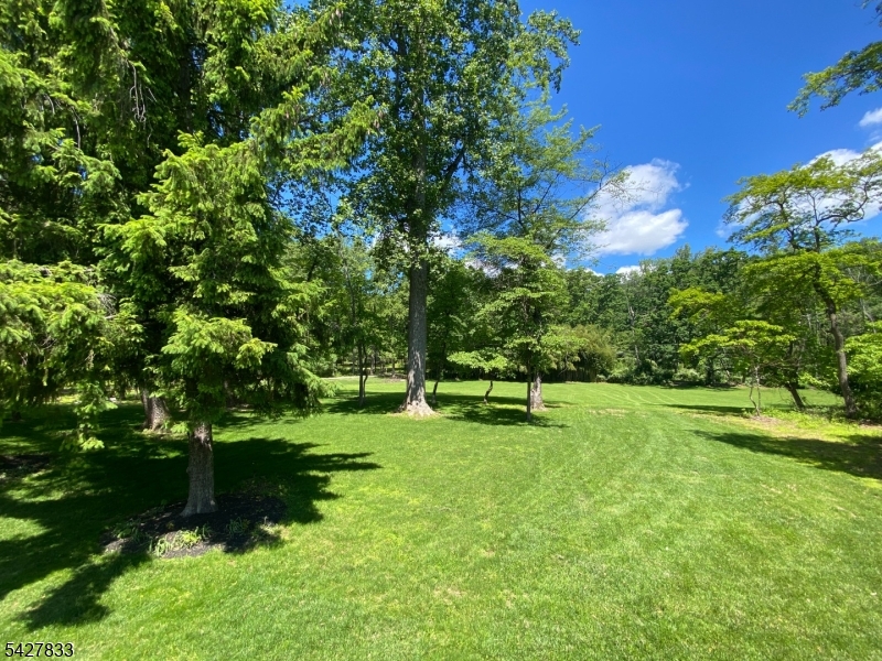 104 Dreahook Road Lebanon, NJ 08833 - Photo 20 of 27