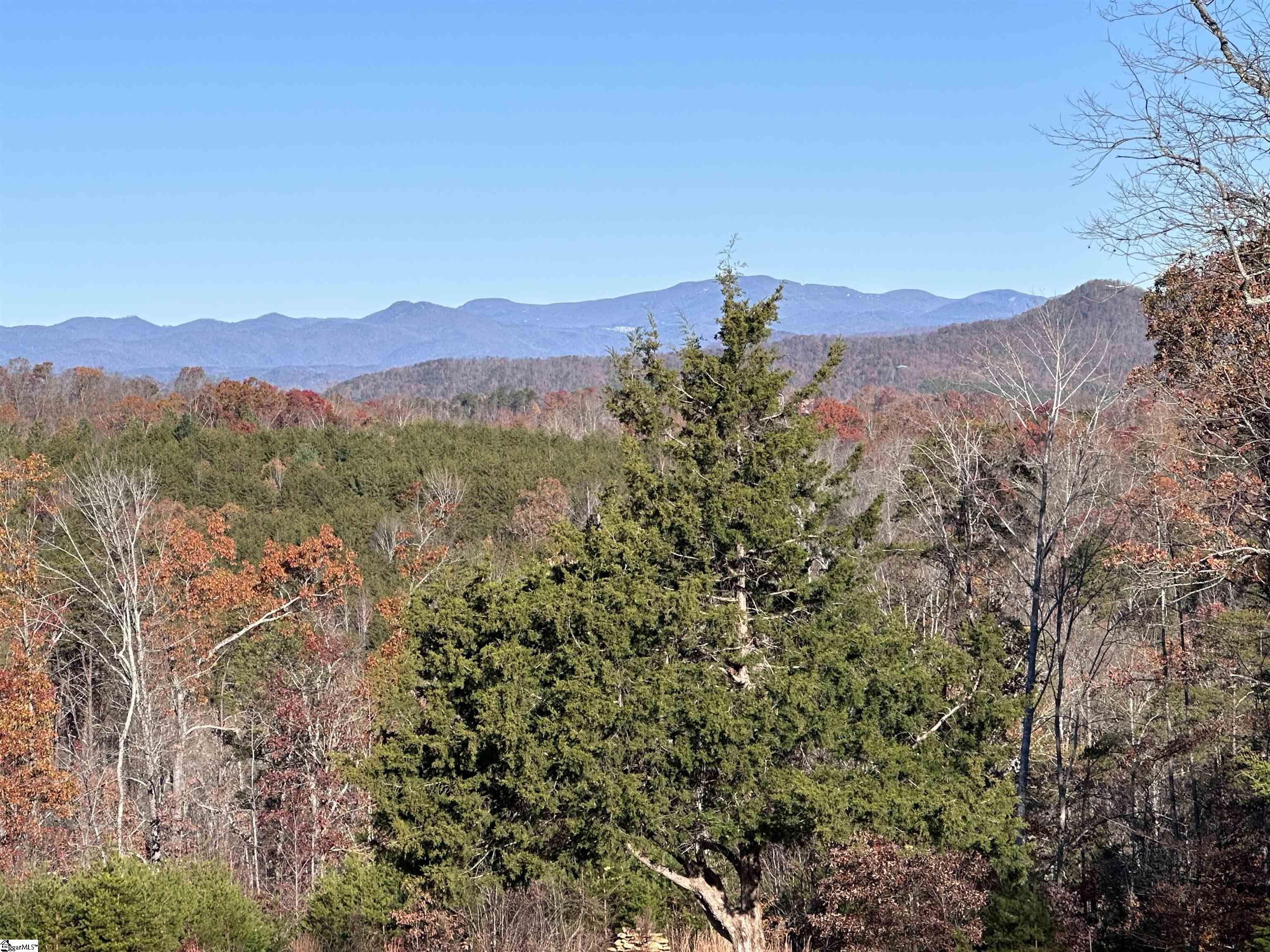 297 Woodall Mountain Road Pickens, SC 29671 - Photo 36 of 50 Gallery Image 36