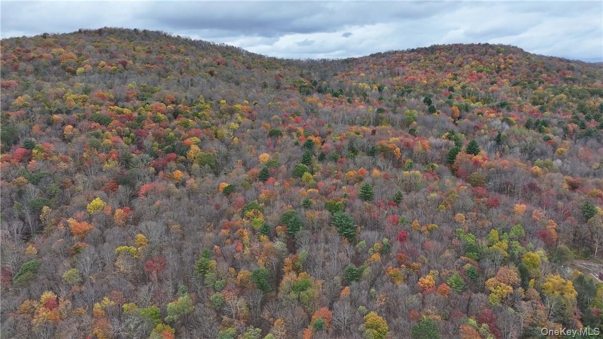 Huntley Hollow Road Delancey, NY 13752 - Photo 12 of 20 a view of a dry yard with mountains in the background