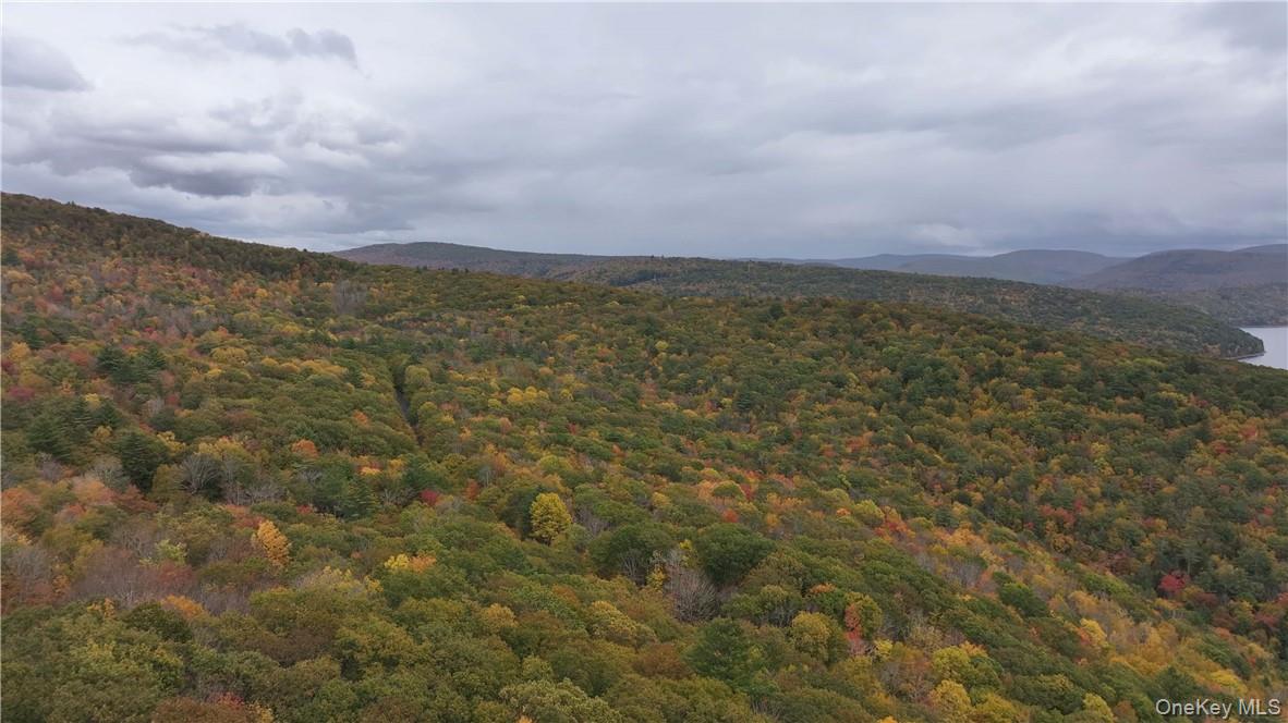 Huntley Hollow Road Delancey, NY 13752 - Photo 13 of 20 an aerial view of residential houses with outdoor space