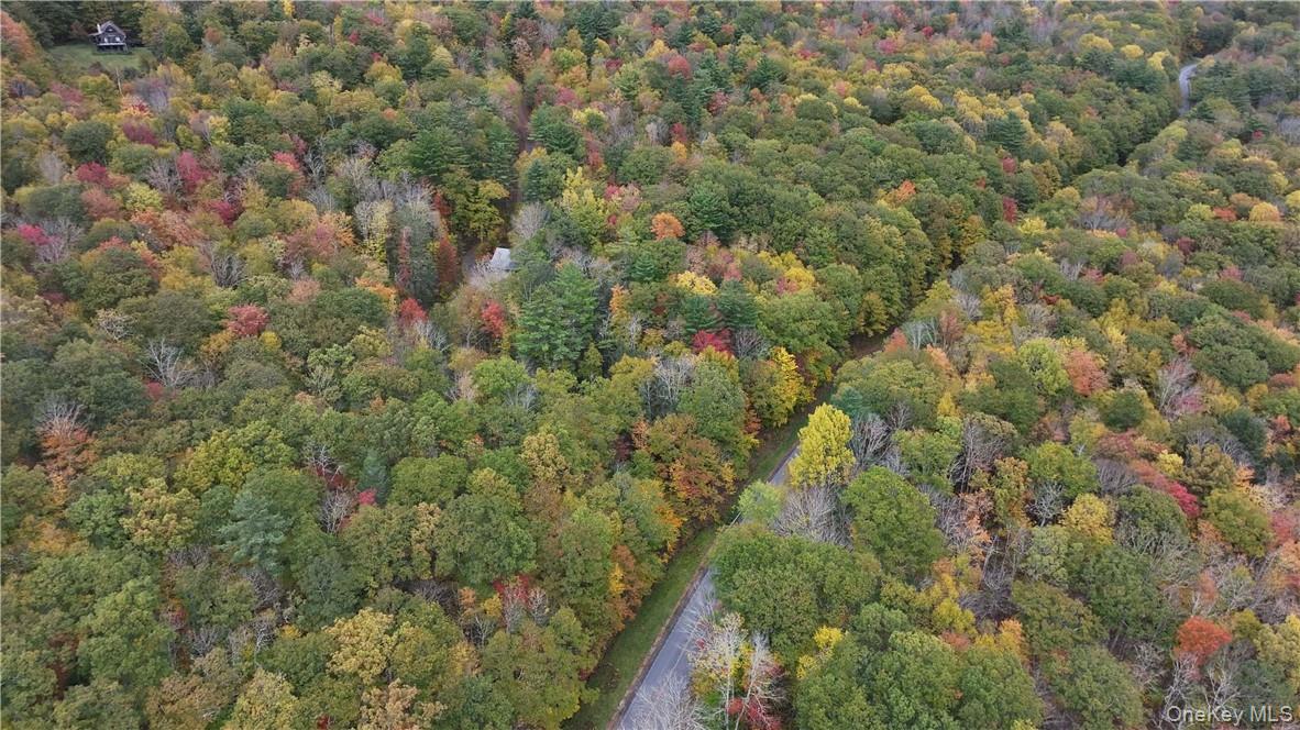 Huntley Hollow Road Delancey, NY 13752 - Photo 17 of 20 a view of a forest with trees and houses