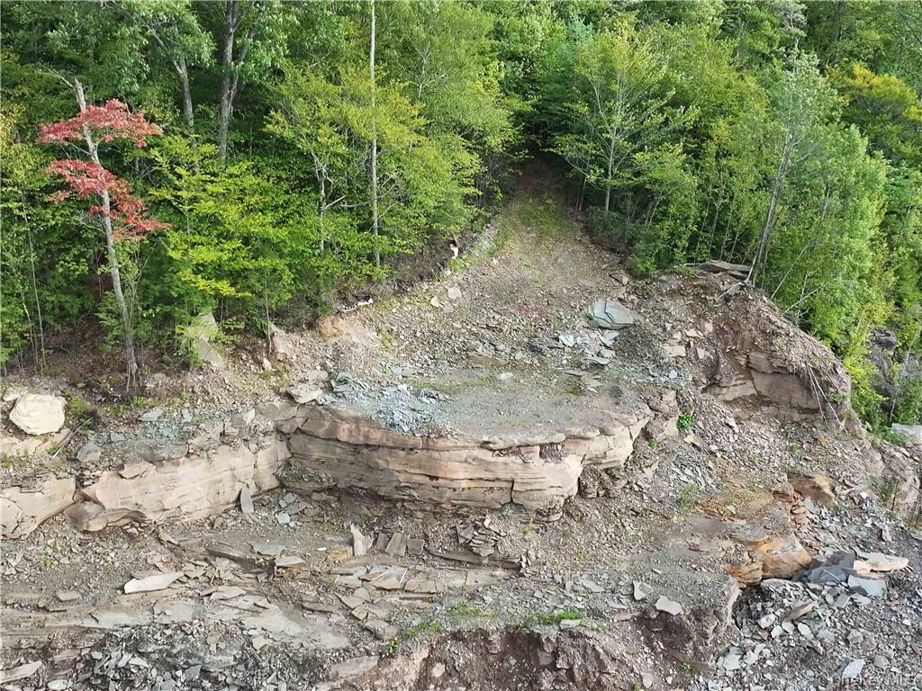 Huntley Hollow Road Delancey, NY 13752 - Photo 19 of 20 a view of a dry yard with plants and trees