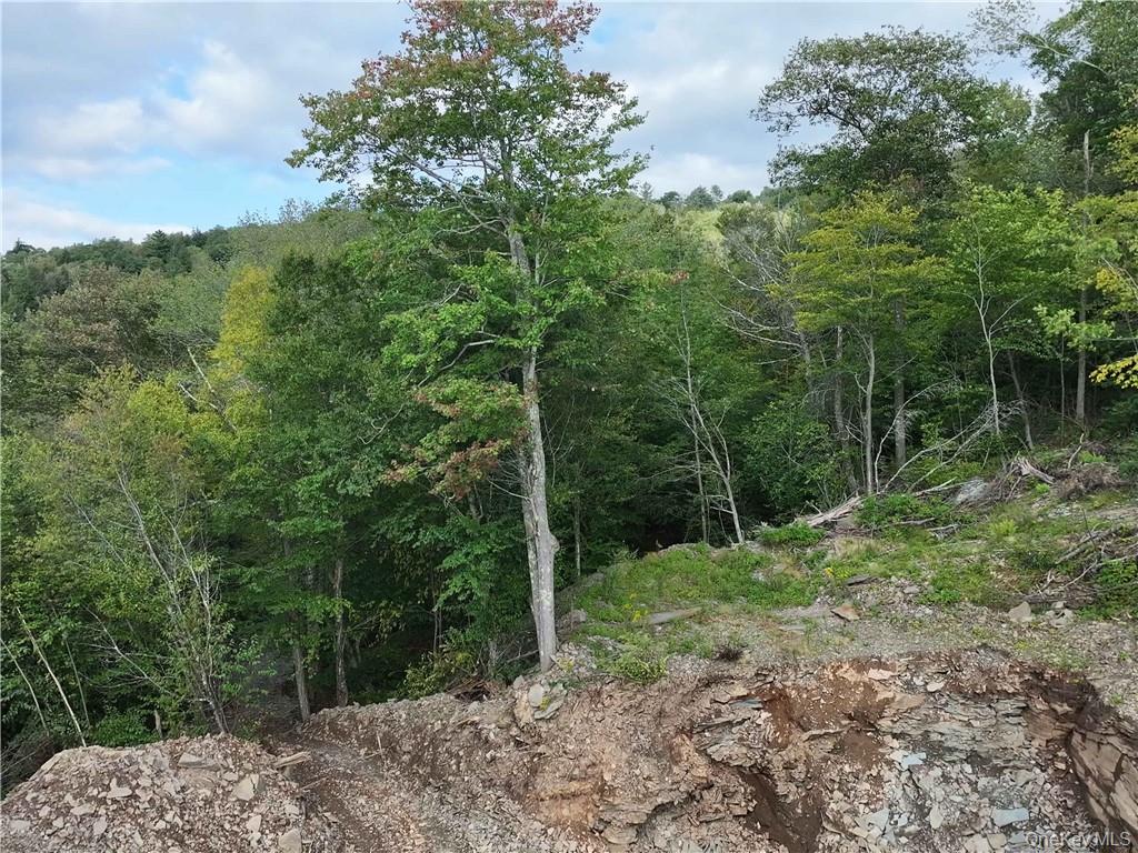 Huntley Hollow Road Delancey, NY 13752 - Photo 20 of 20 a view of a forest