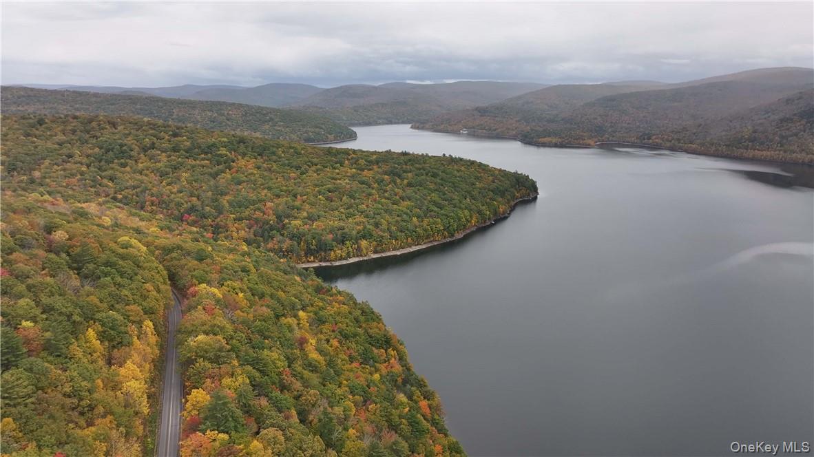 Huntley Hollow Road Delancey, NY 13752 - Photo 2 of 20 a view of a room
