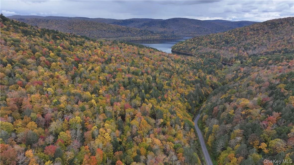 Huntley Hollow Road Delancey, NY 13752 - Photo 4 of 20 a view of an outdoor space and mountain view