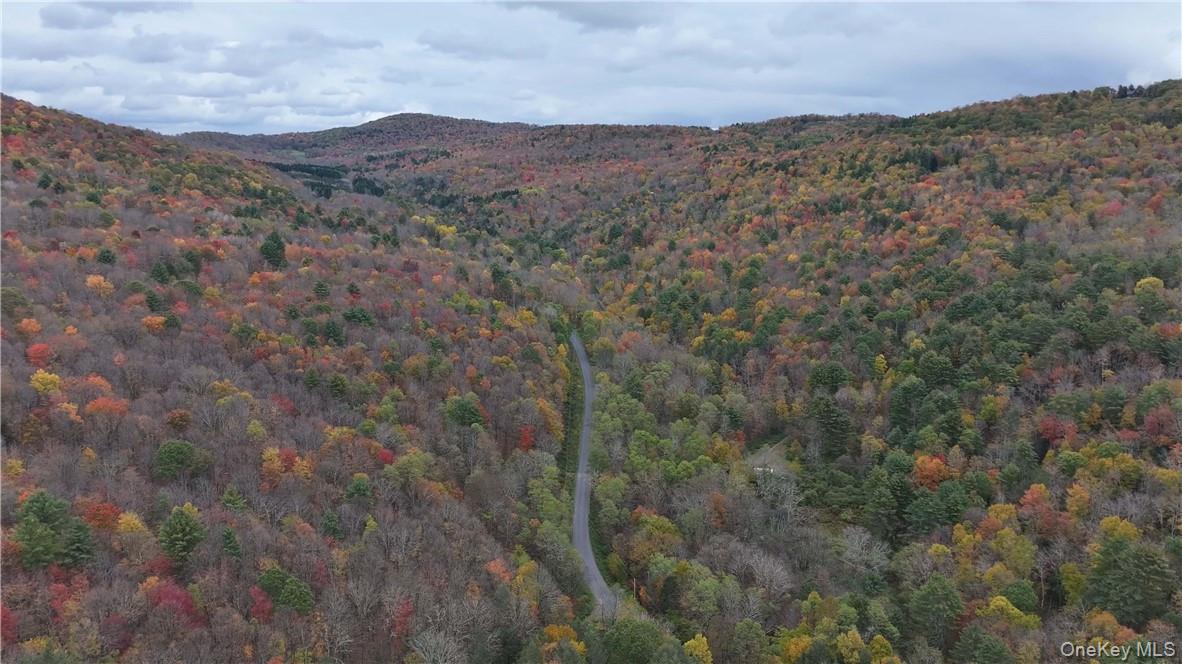 Huntley Hollow Road Delancey, NY 13752 - Photo 6 of 20