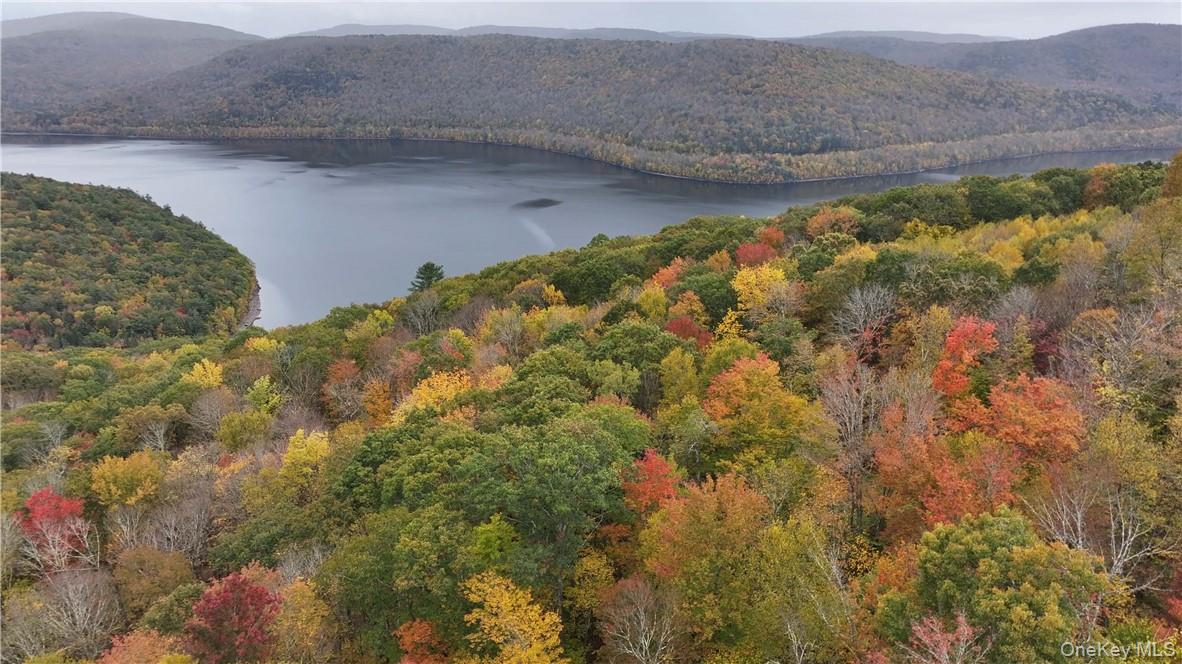 Huntley Hollow Road Delancey, NY 13752 - Photo 7 of 20 a view of wooden floor