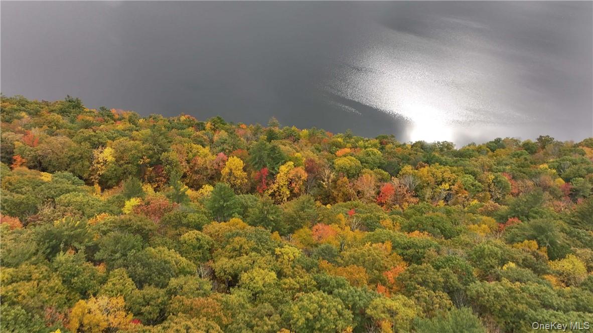 Huntley Hollow Road Delancey, NY 13752 - Photo 9 of 20