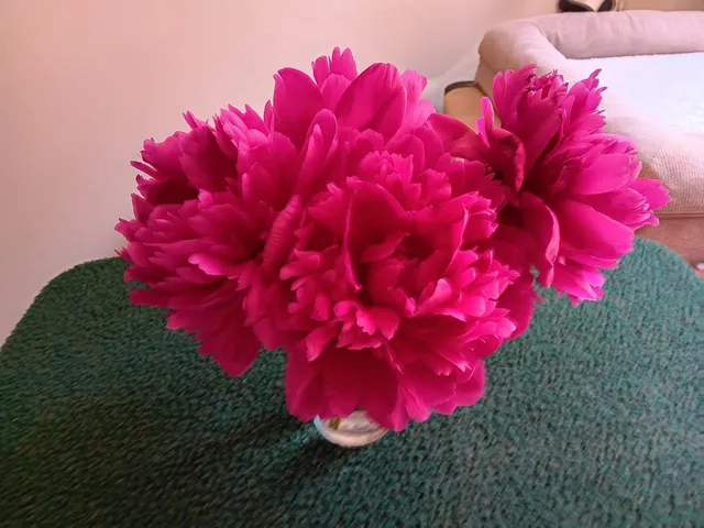 $240,000 | 1645 Hickory Hill Drive, Eagan, MN 55122