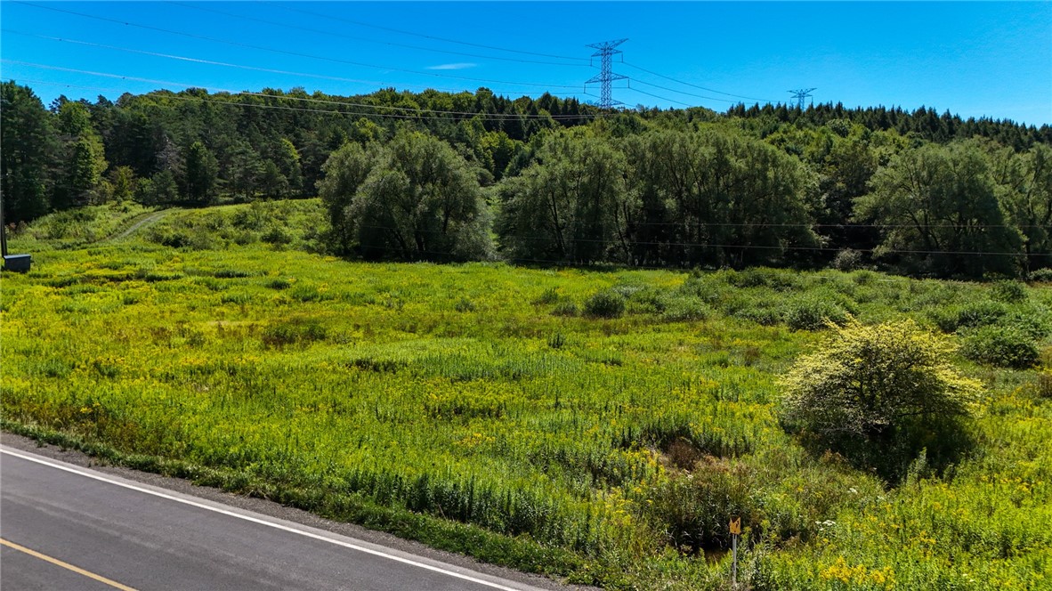 6 County Highway Laurens, NY 13796 - Photo 11 of 17 Bush and Culvert indicate apx. property corner