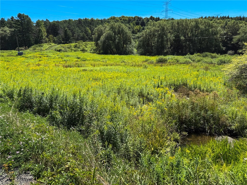 6 County Highway Laurens, NY 13796 - Photo 14 of 17