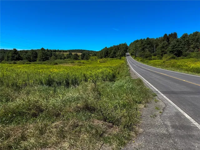 $49,900 | 6 County Highway, Laurens, NY 13796