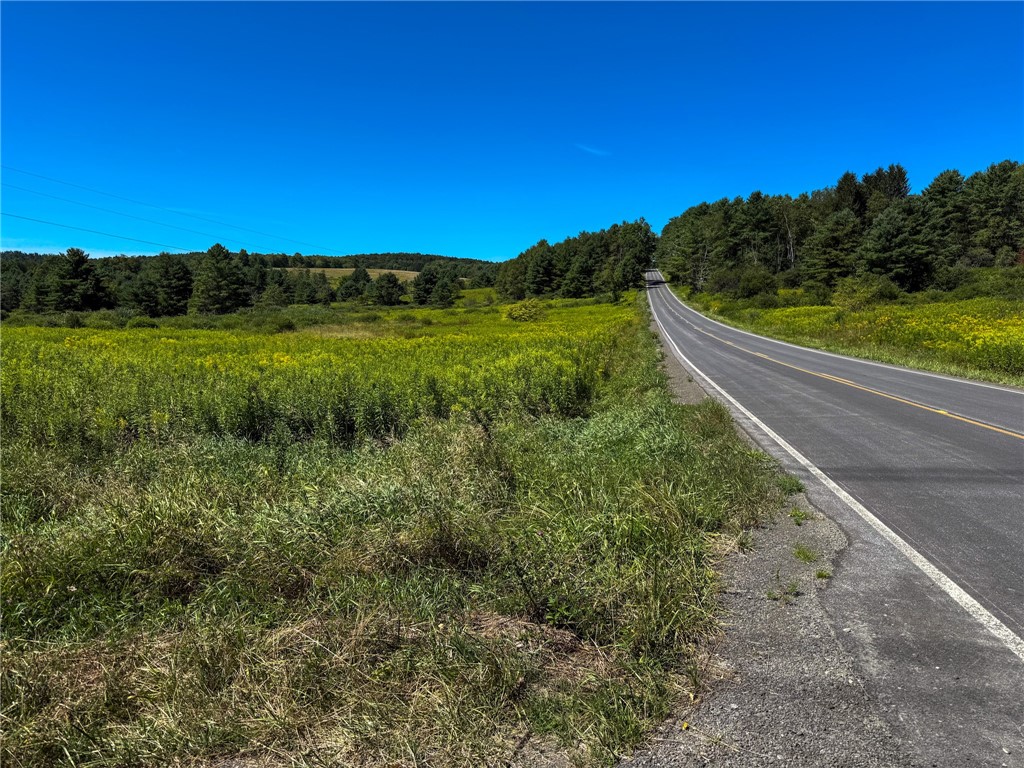 6 County Highway Laurens, NY 13796 - Photo 16 of 17 County Highway 12 Road Frontage