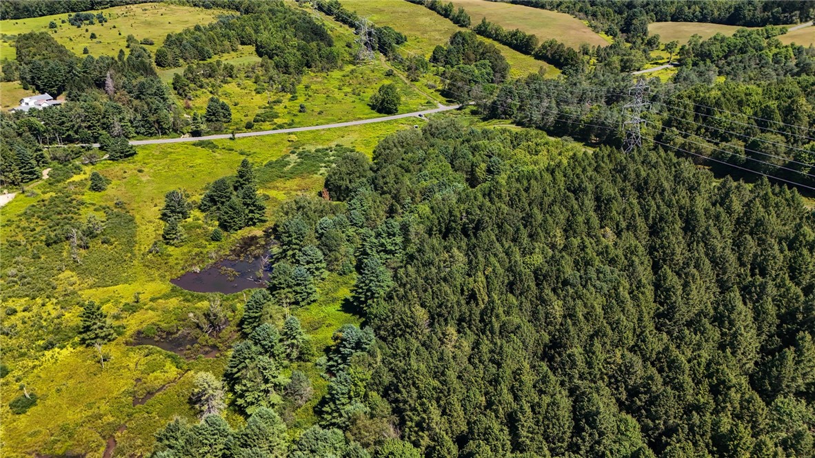 6 County Highway Laurens, NY 13796 - Photo 3 of 17