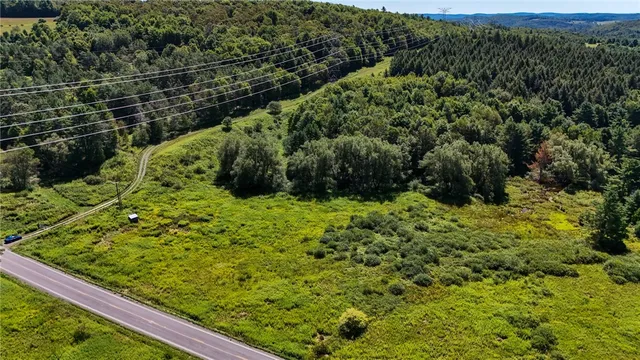 $49,900 | 6 County Highway, Laurens, NY 13796