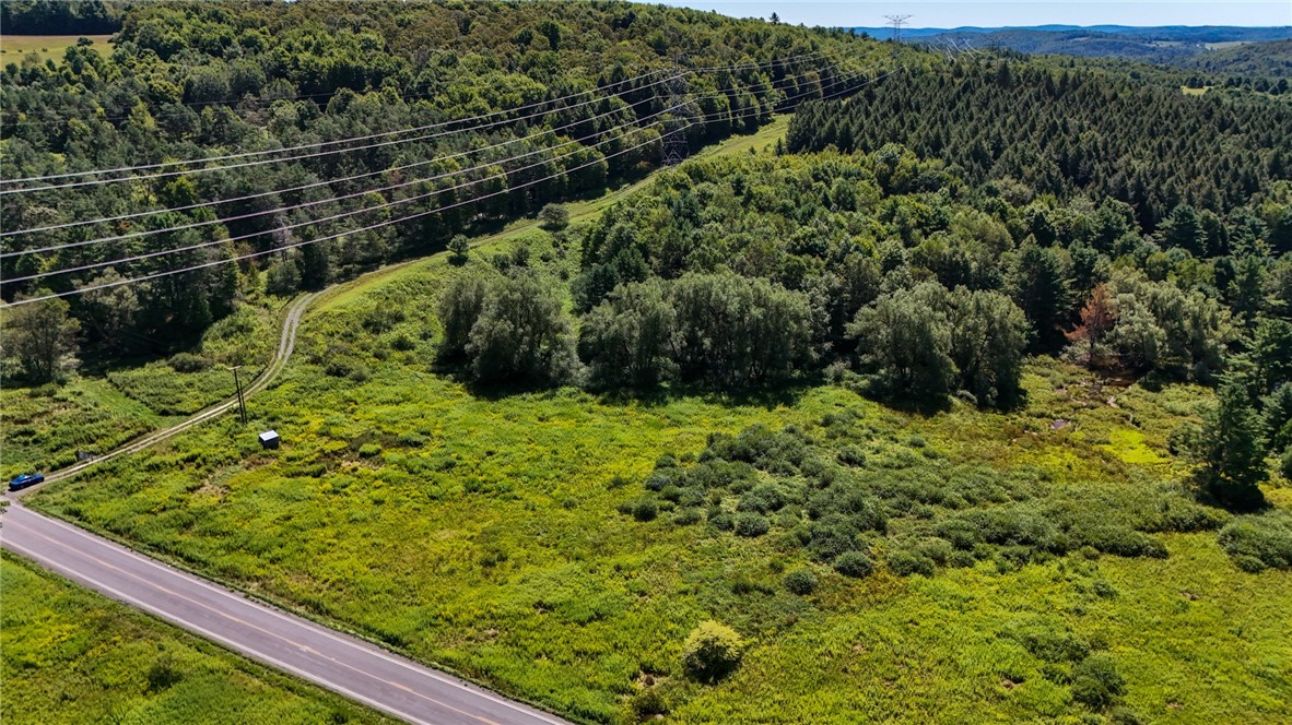 6 County Highway Laurens, NY 13796 - Photo 6 of 17