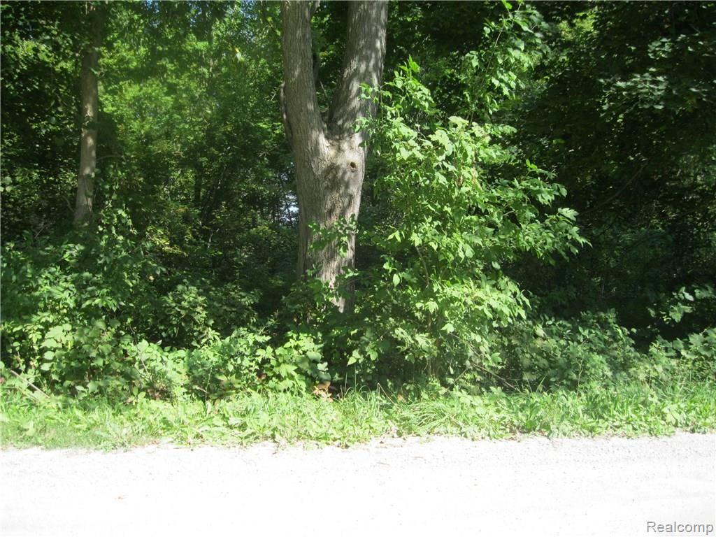 Ob Green Ob Green Green Road Goodells, MI 48027 - Photo 2 of 10