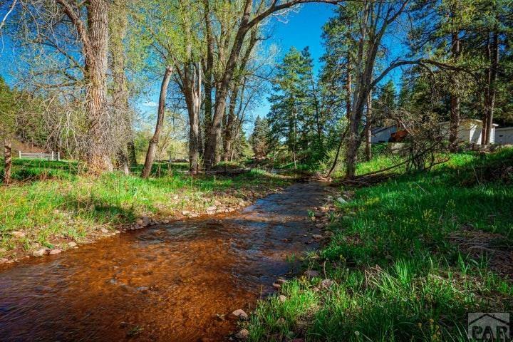 5207 Northcreek Road Beulah, CO 81023 - Photo 6 of 56