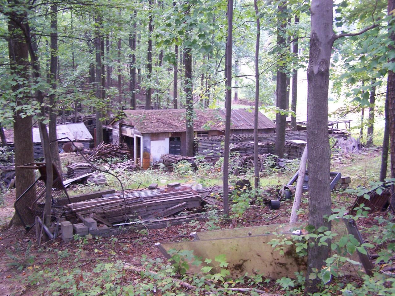 245 Morning Dove Lane Blue Ridge, VA 24064 - Photo 19 of 23 Outside Storage #3