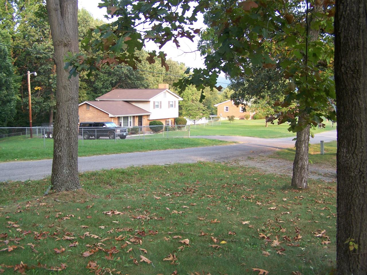 245 Morning Dove Lane Blue Ridge, VA 24064 - Photo 21 of 23 Front Yard