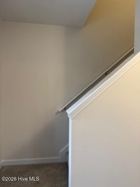 905 Wild Azalea Way Hubert, NC 28539 - Photo 3 of 77 IMG_6006