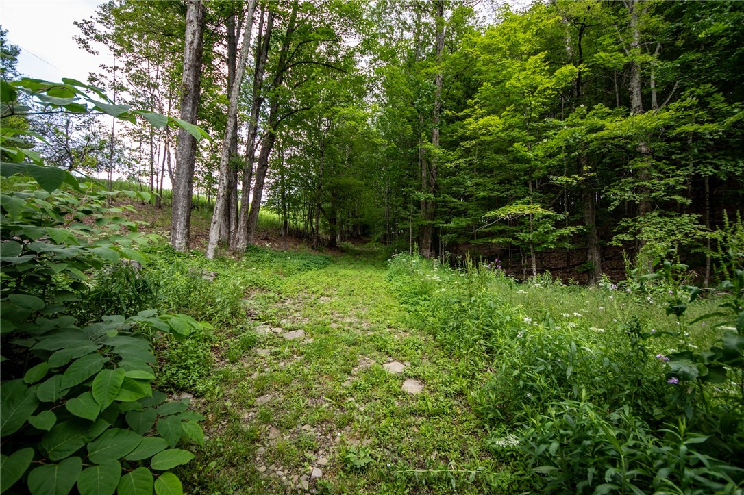 345 Dorr Edson Road Oneonta, NY 13820 - Photo 46 of 50