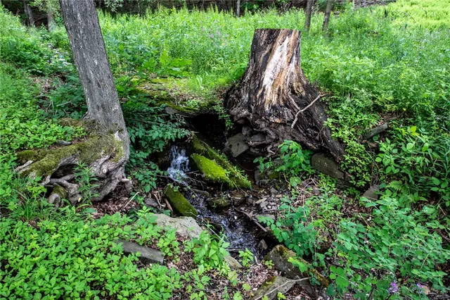 $499,000 | 345 Dorr Edson Road, Oneonta, NY 13820