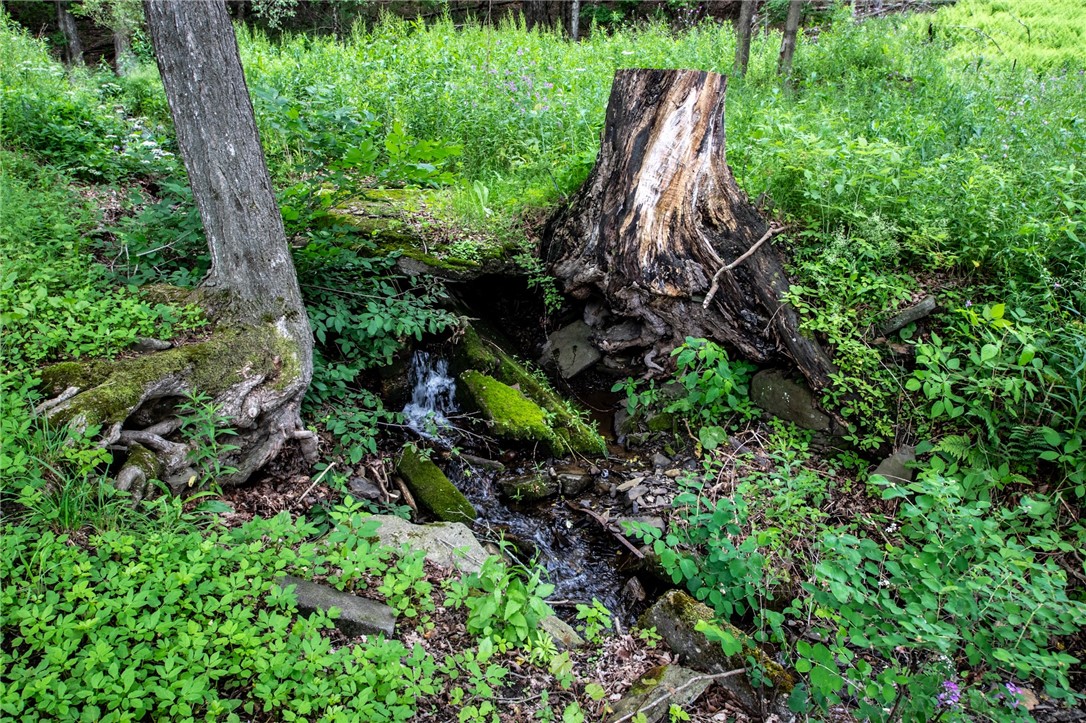 345 Dorr Edson Road Oneonta, NY 13820 - Photo 47 of 50