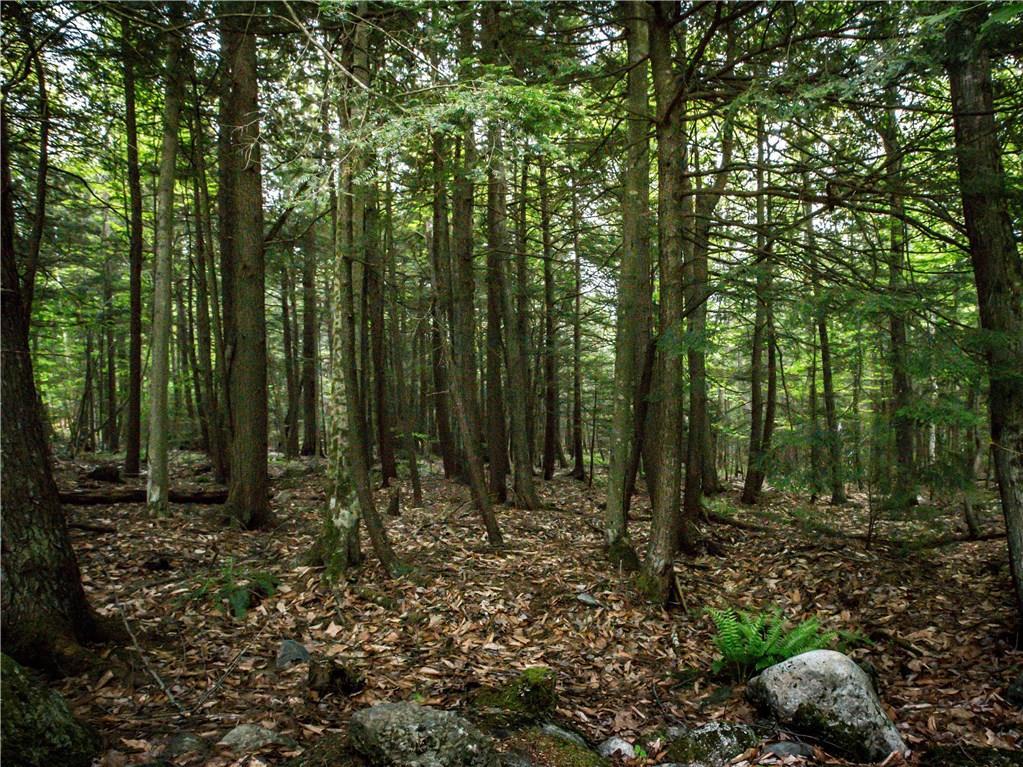 88 Bearce Road Winthrop, ME 04364 - Photo 13 of 34 Photo