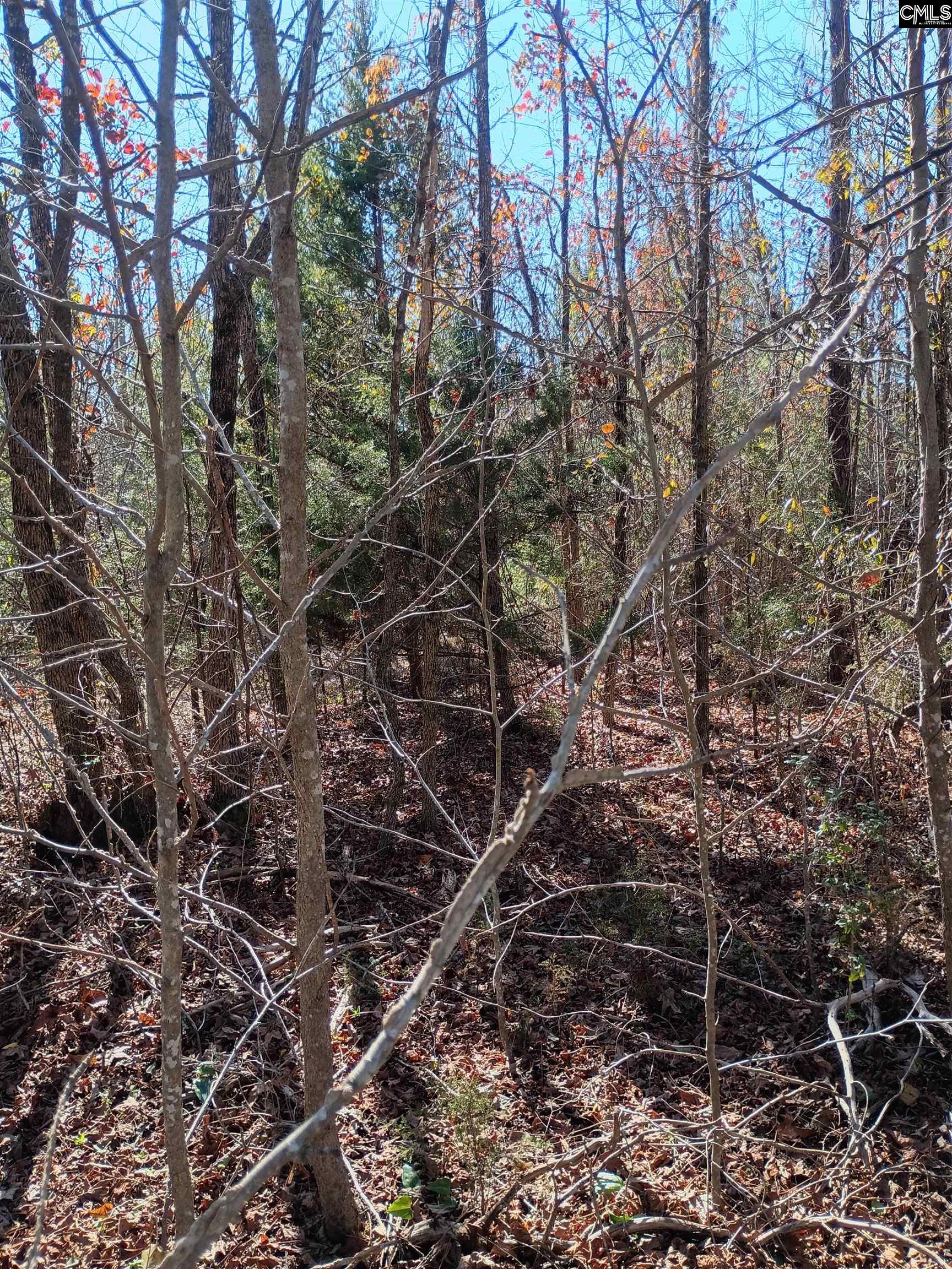 1163 June Berry Road Camden, SC 29020 - Photo 6 of 20