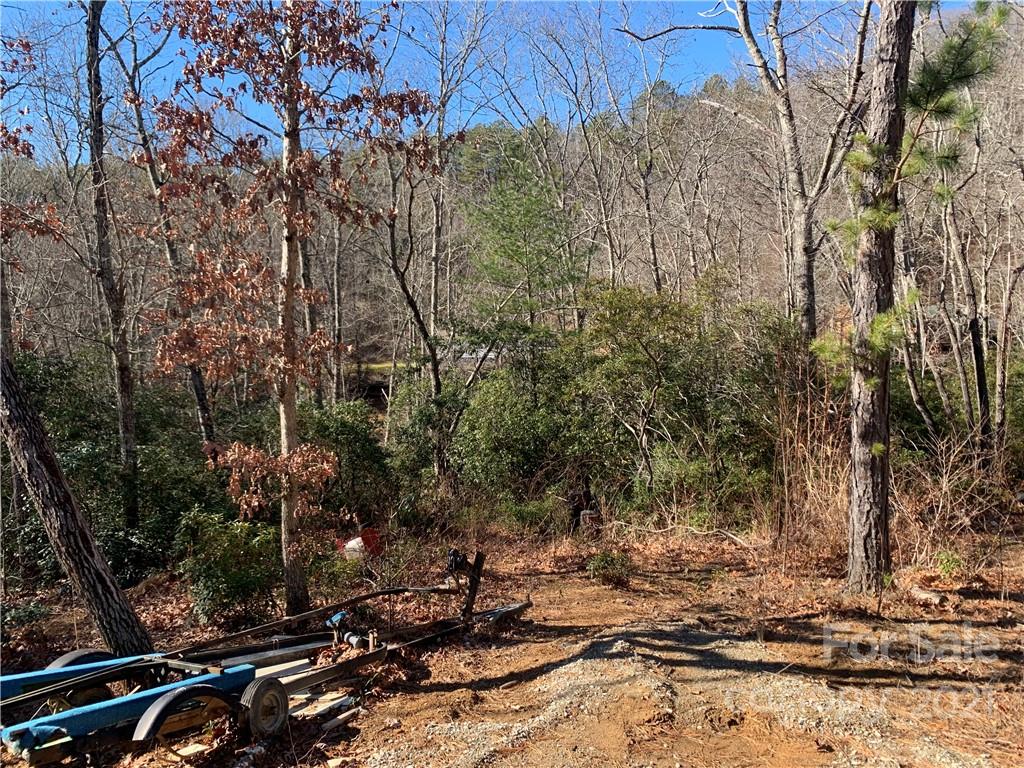 16 Wildcat Ridge Drive, Unit 4 Fairview, NC 28730 - Photo 4 of 30 Gallery Image 4