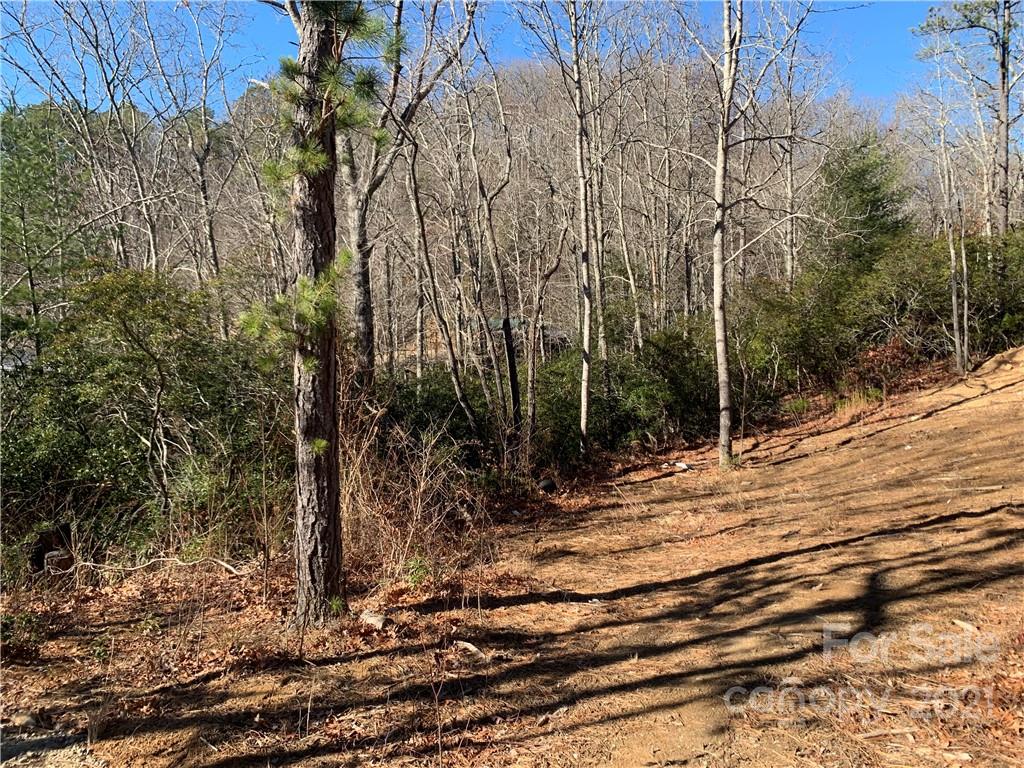 16 Wildcat Ridge Drive, Unit 4 Fairview, NC 28730 - Photo 5 of 30 Gallery Image 5