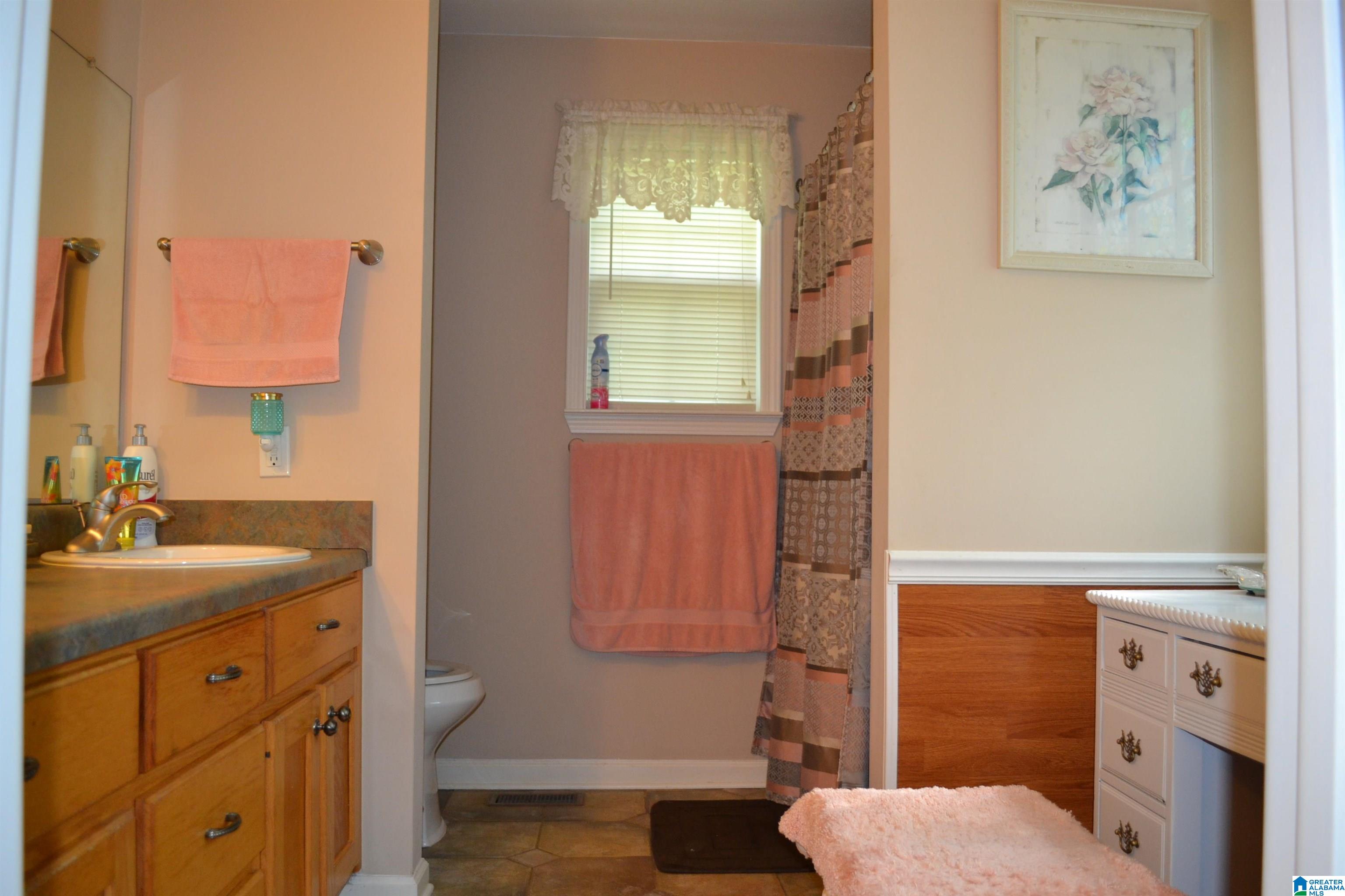 4348 Red Valley Road Remlap, AL 35133 - Photo 17 of 69
