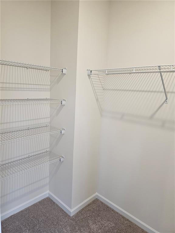 256 Dupont Drive Cartersville, GA 30121 - Photo 8 of 16