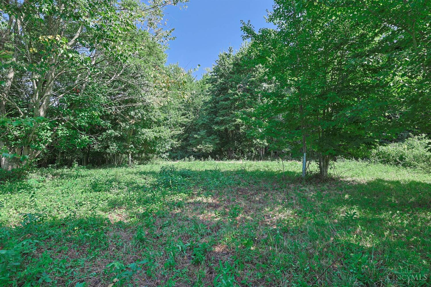 0 Richey Road Felicity, OH 45120 - Photo 5 of 10 Gallery Image 5