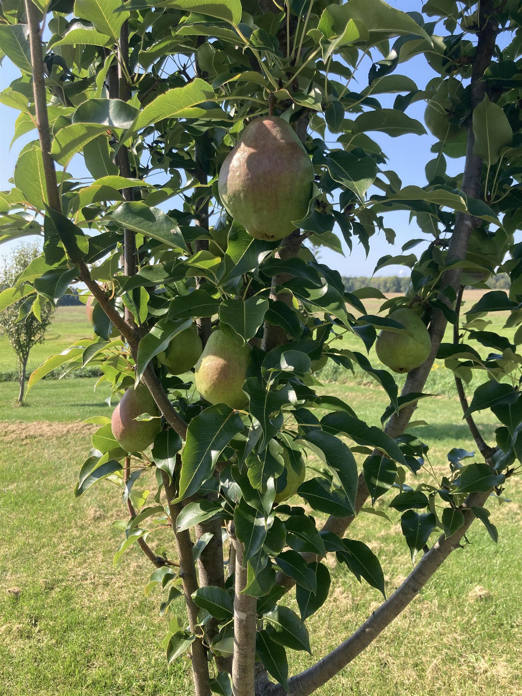 247 Highway 2 Grand Isle, VT 05458 - Photo 40 of 58