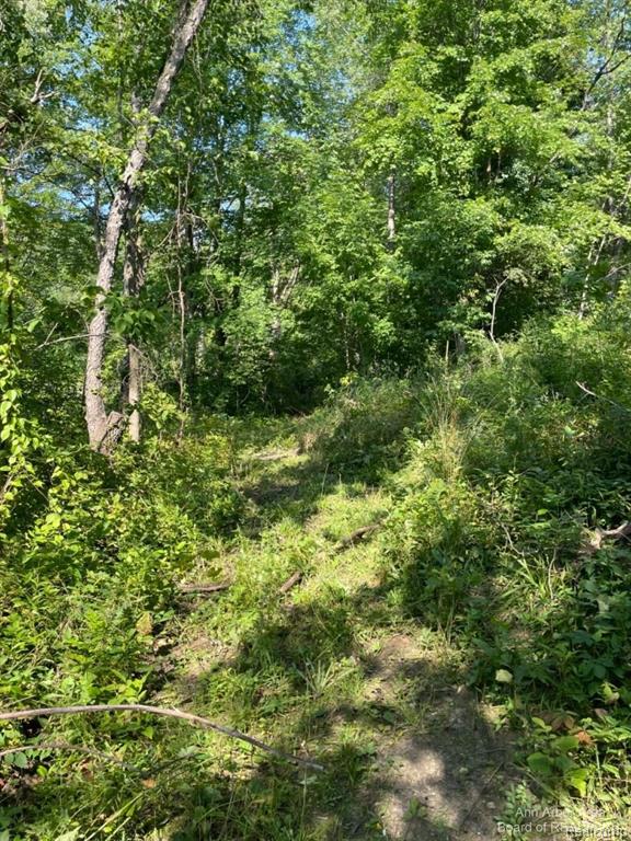 Vl Denton Hills Road Fenton, MI 48430 - Photo 7 of 21