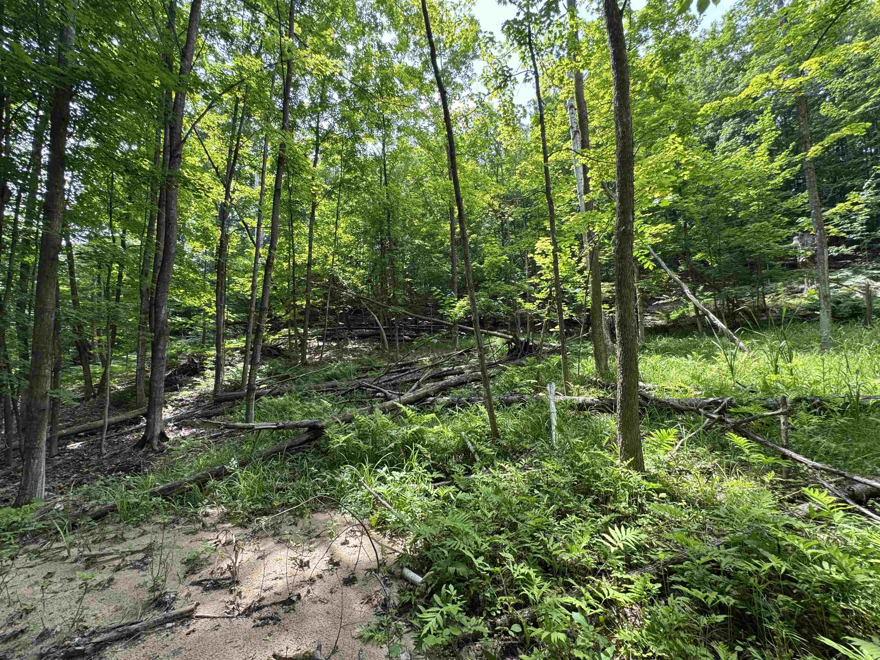 Lot #5 East Bellinger Road, Unit BELLINGER ESTATES LOT: 5 Cedar, MI 49621 - Photo 13 of 20