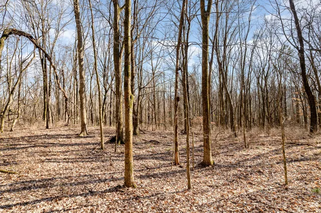 a view of a backyard of the house