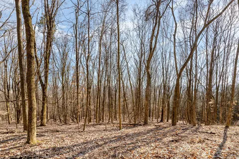 a view of outdoor space with trees