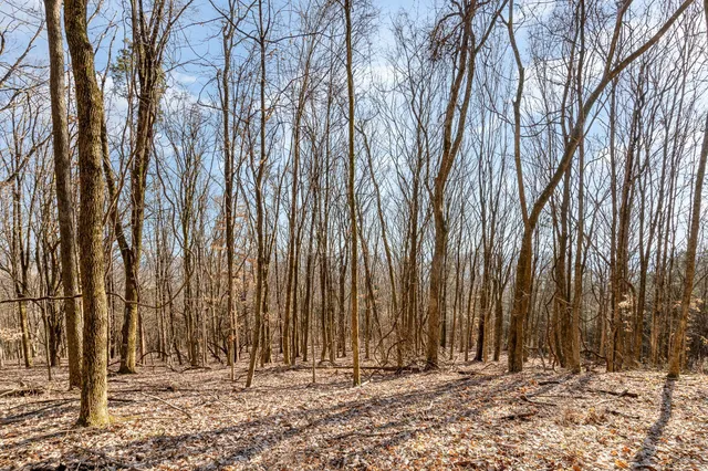 a view of outdoor space with trees
