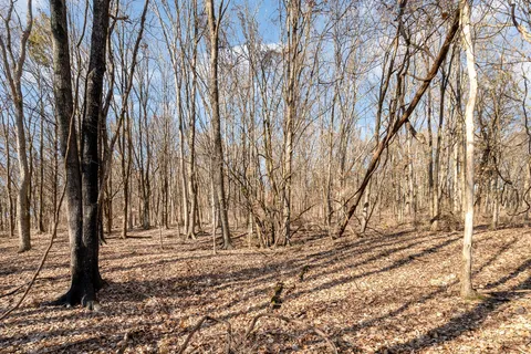 a view of house with trees