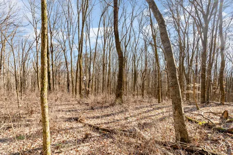 a view of wooden fence